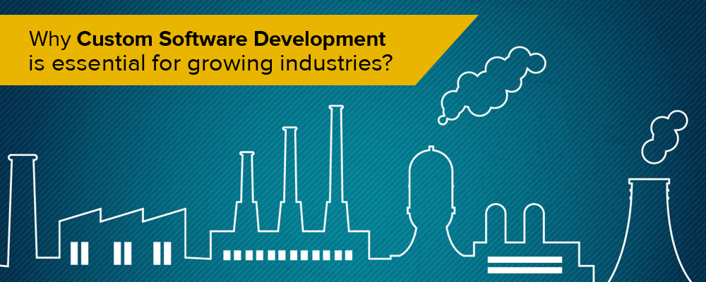 custom software development , Industrial Software Development service
