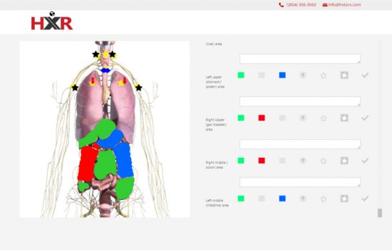 male-organ-checkup