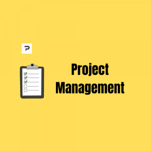 how to manage the project